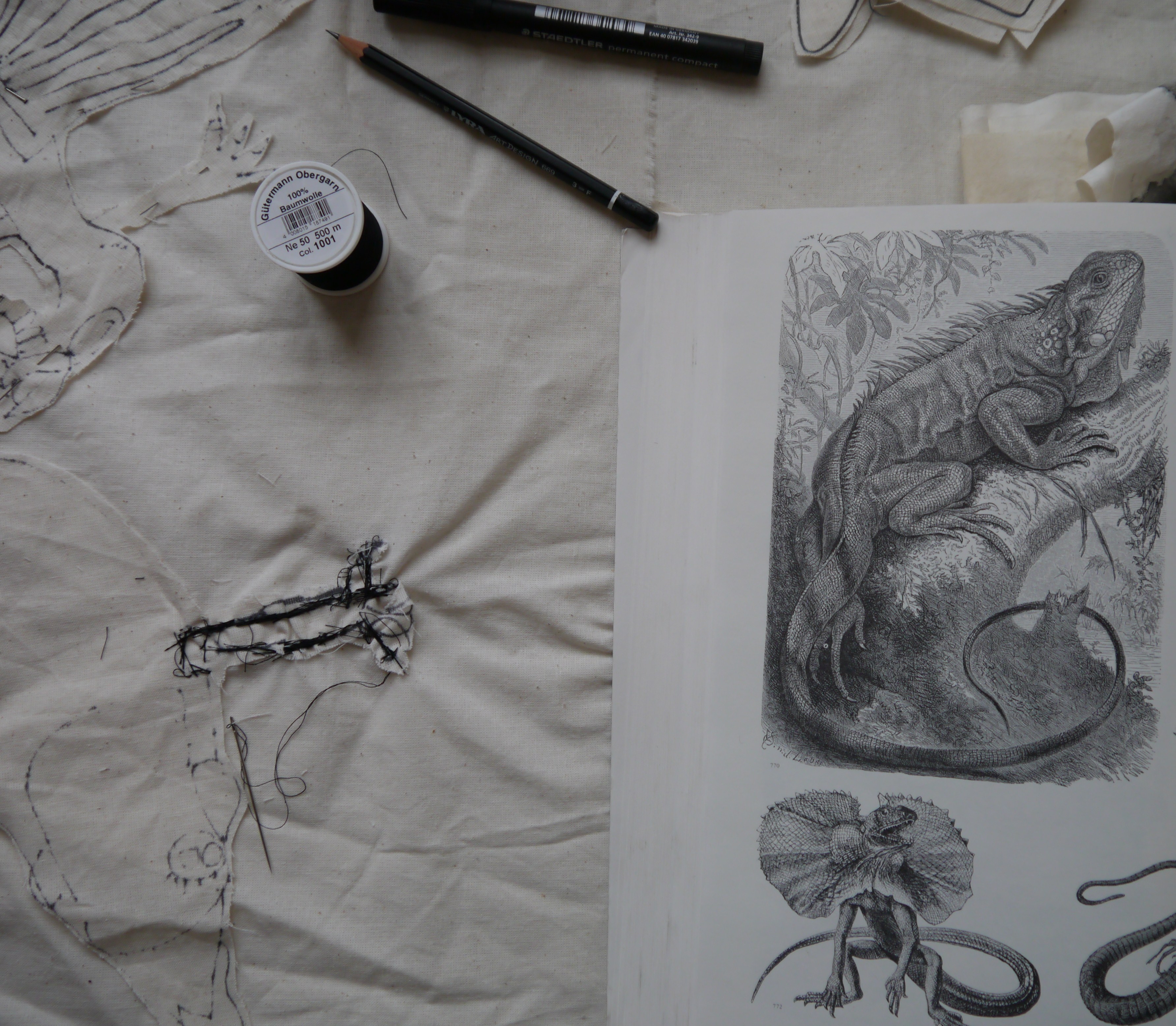 Arbeit von Jeanne-Marie Mohn